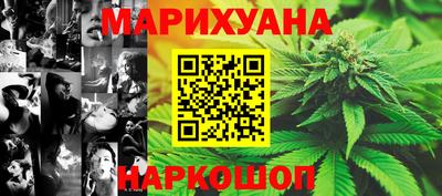шишки Будённовск
