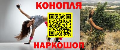 шишки Будённовск