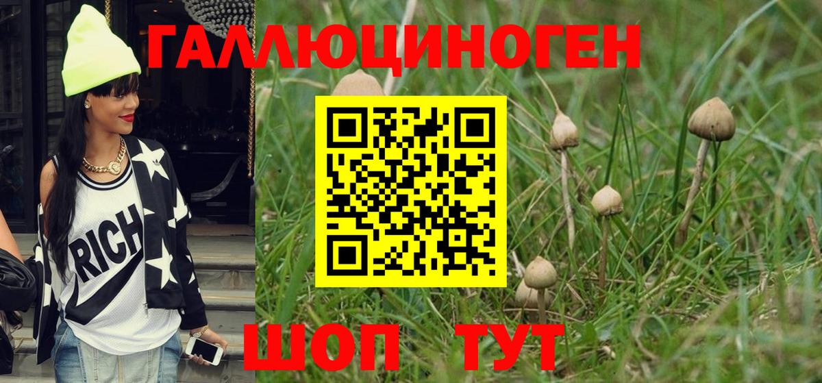 Псилоцибиновые грибы Psilocybine cubensis Сунжа